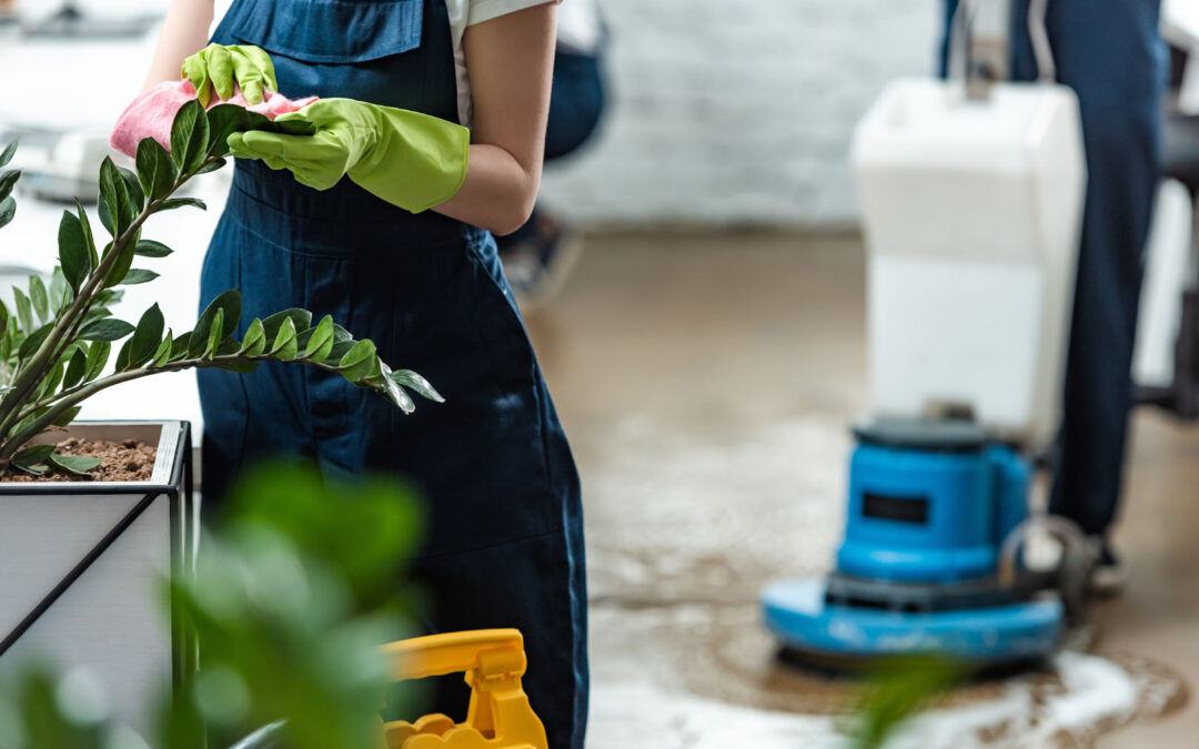 Post-Winter Refresh: Revitalize Your Office with a Deep Clean