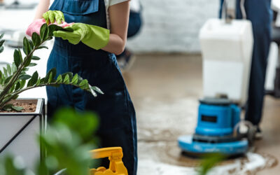 Post-Winter Refresh: Revitalize Your Office with a Deep Clean