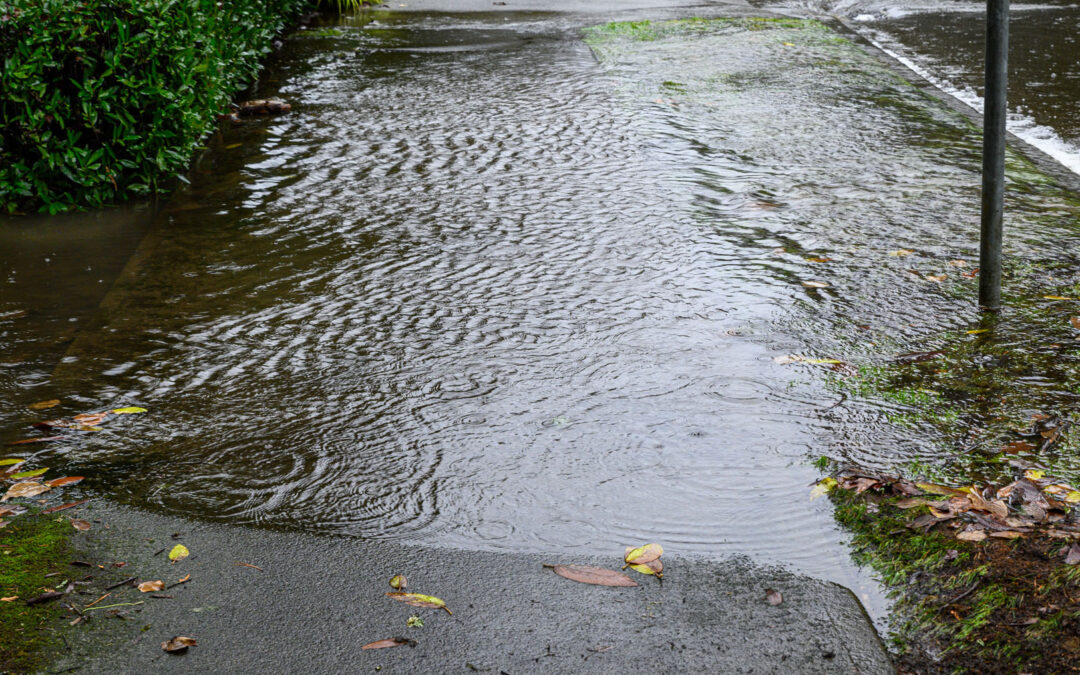 Heavy Rains & Holiday Hassles:  Don’t Let Water Damage Disrupt Your Holiday Season
