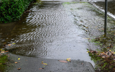 Heavy Rains & Holiday Hassles: Don’t Let Water Damage Disrupt Your Holiday Season