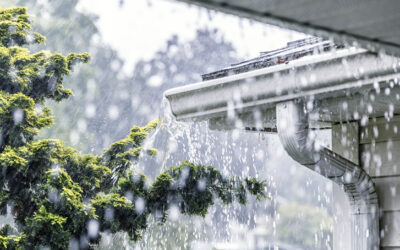 How to Handle Storm Damage Restoration in Oakland, MD