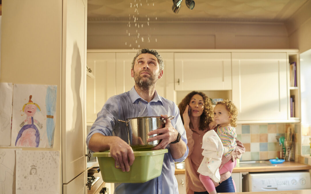 water damage restoration davis wv