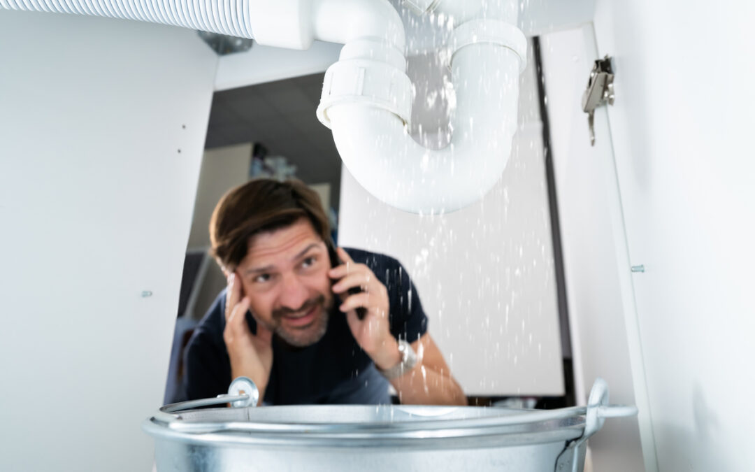A Homeowner’s Guide to Water Damage Restoration in McHenry, MD