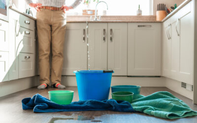 What Davis, WV Homeowners Should Know About Water Damage Restoration