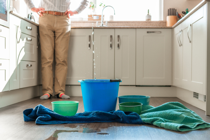 water damage restoration davis wv