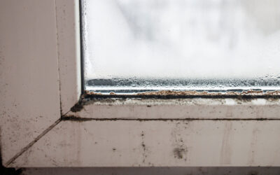 Fall Rains & Rising Humidity: Don’t Let Mold Take Root in Your Home