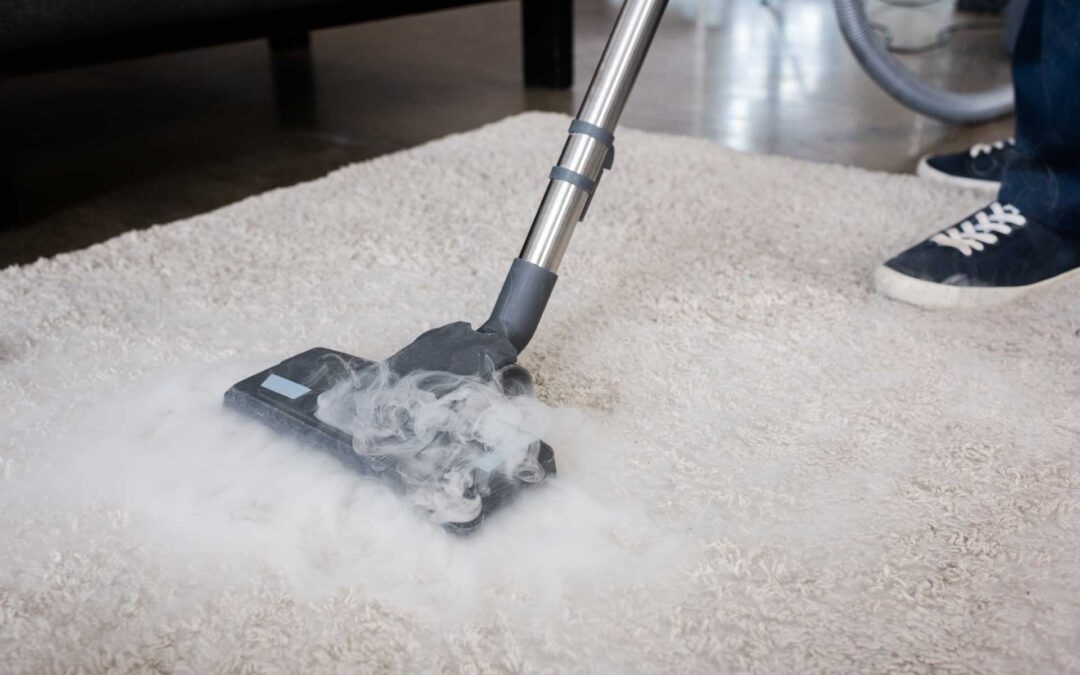 Soirees & Spills: Deep Clean Your Area Rugs for Worry-Free Entertaining