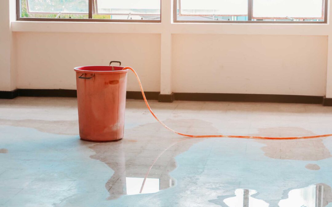 Emergency! Summer Plumbing Nightmares and How to Avoid Them